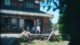 영상 썸네일 夏の影