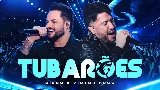 영상 썸네일 Tubarões - Ao Vivo