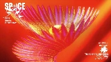 영상 썸네일 Space