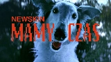 영상 썸네일 MAMY CZAS