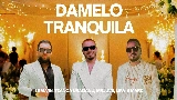 영상 썸네일 Damelo