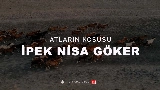 영상 썸네일 Atların Koşusu