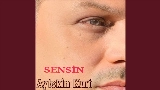 영상 썸네일 Sensin