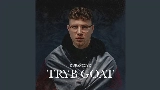영상 썸네일 Tryb Goat