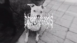 영상 썸네일 MARTINETE