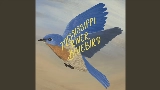 영상 썸네일 Mississippi River Bluebird