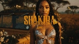 영상 썸네일 Shakira