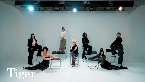 영상 썸네일 Tiger