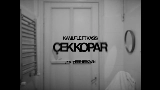 영상 썸네일 çek kopar