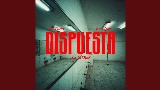영상 썸네일 Dispuesta