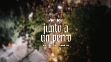 영상 썸네일 Junto a Un Perro (En Vivo)