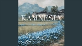 영상 썸네일 KAMNESIA