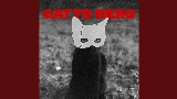 영상 썸네일 GATTO NERO