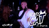 영상 썸네일 Stray Cat