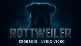 영상 썸네일 Rottweiler