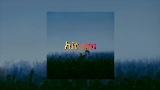 영상 썸네일 Hit Em