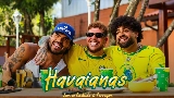 영상 썸네일 Havaianas