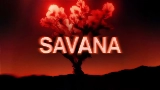 영상 썸네일 Savana