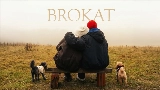영상 썸네일 BROKAT