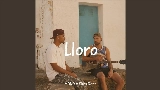 영상 썸네일 Lloro