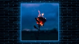 영상 썸네일 Flowers & Guns