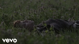 영상 썸네일 Ricordi (con Elisa)