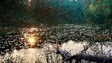 영상 썸네일 Mother's Love Conquers All