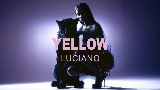 영상 썸네일 Yellow