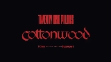 영상 썸네일 Cottonwood