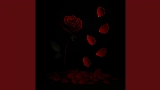 영상 썸네일 Kopardılar
