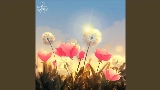 영상 썸네일 Warm Feelings