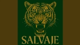 영상 썸네일 SALVAJE