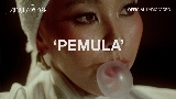 영상 썸네일 Pemula