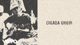 영상 썸네일 Cicada Choir