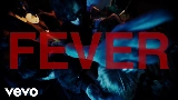 영상 썸네일 FEVER