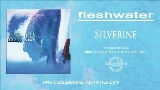 영상 썸네일 Silverine