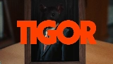 영상 썸네일 TIGOR