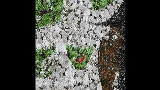 영상 썸네일 Braces