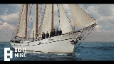 영상 썸네일 SWIM