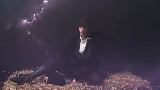 영상 썸네일 Horses