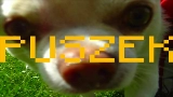 영상 썸네일 TO PIPY