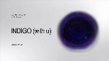 영상 썸네일 INDIGO (with u)