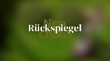 영상 썸네일 Rückspiegel