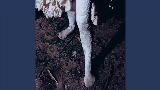 영상 썸네일 Dream House