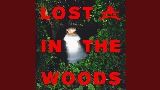 영상 썸네일 Lost In The Woods