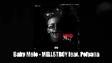 영상 썸네일 MELLSTROY