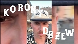 영상 썸네일 Korony drzew