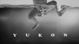 영상 썸네일 YUKON