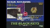 영상 썸네일 No Rain, No Flowers
