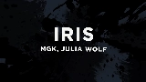 영상 썸네일 iris